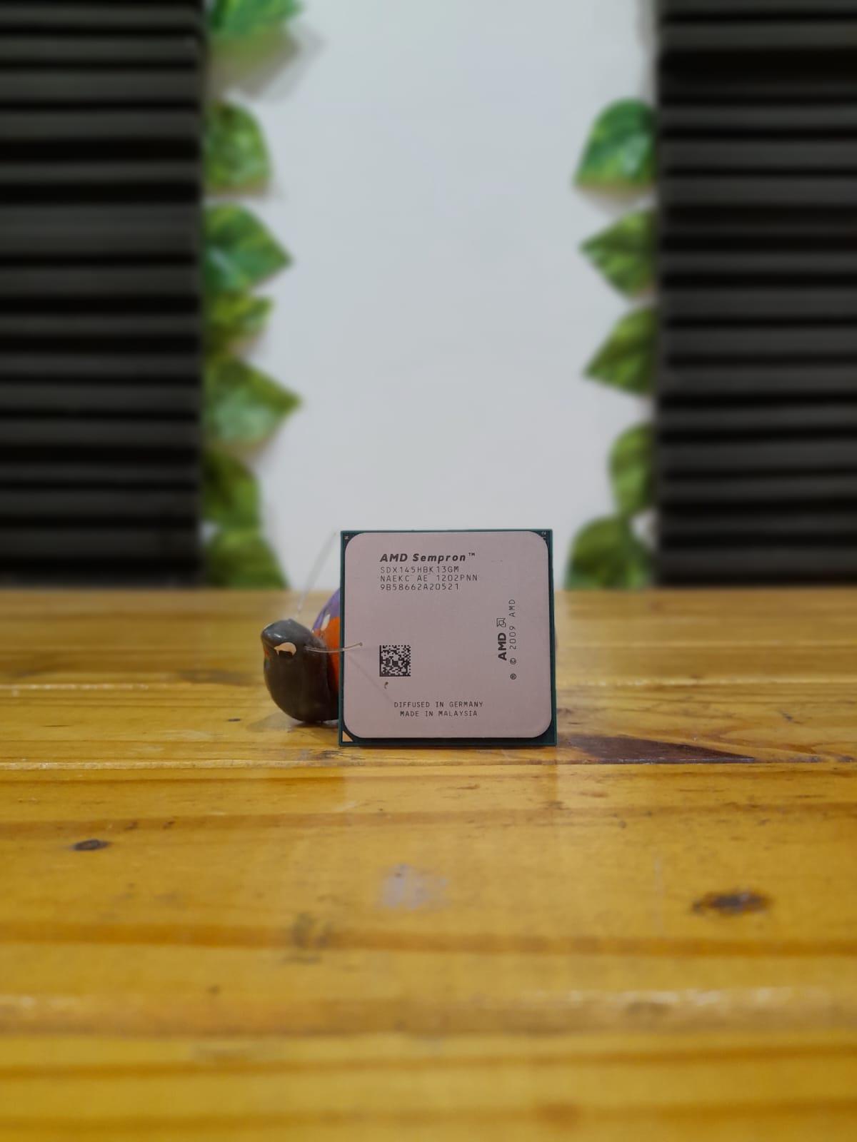 Procesador Sempron 145
