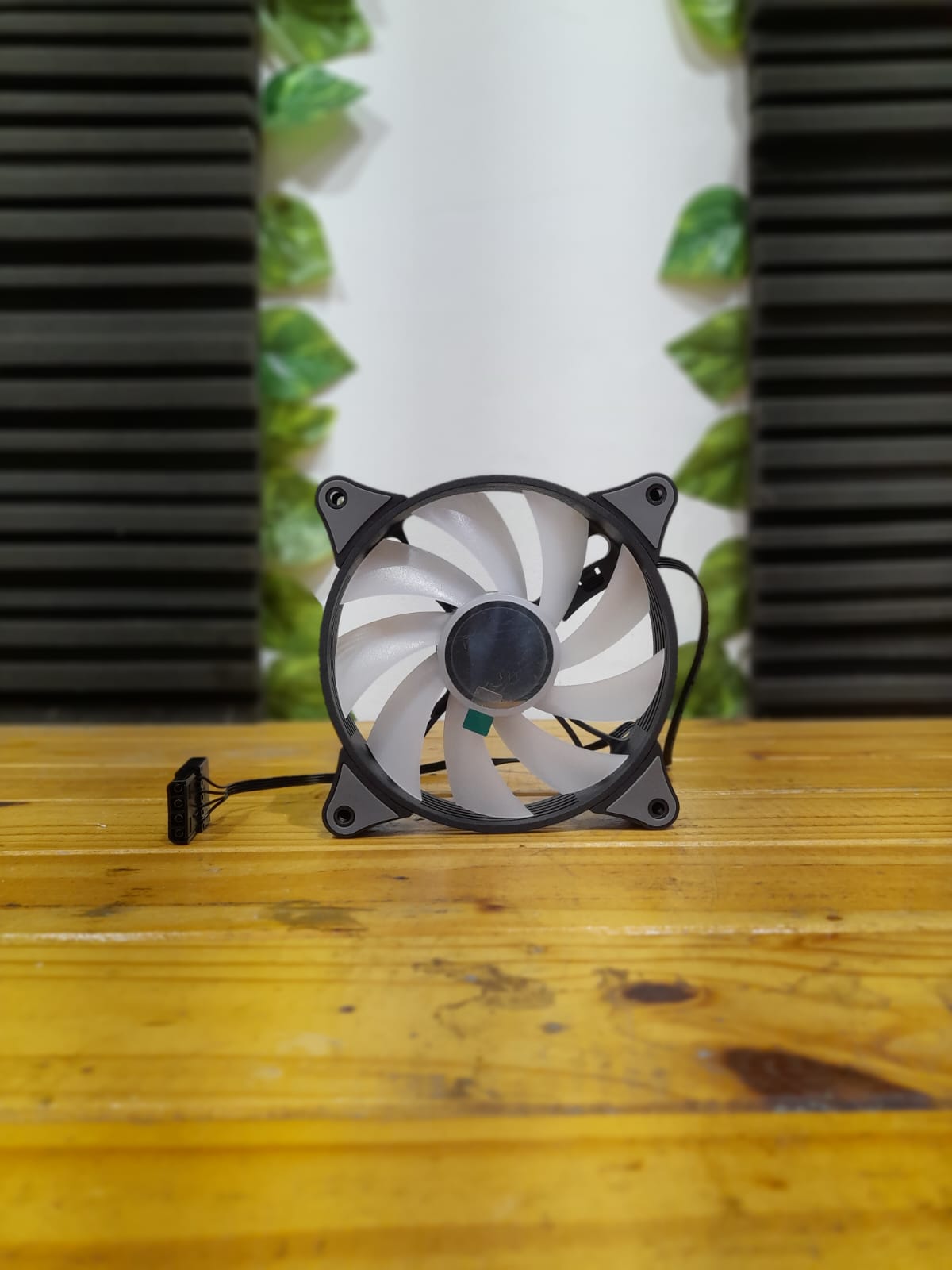 Cooler Sentey 120mm Negros Molex