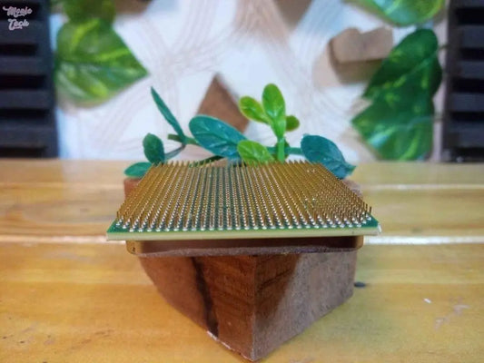 Procesador Athlon 64 X2 3800 - MonfeTech