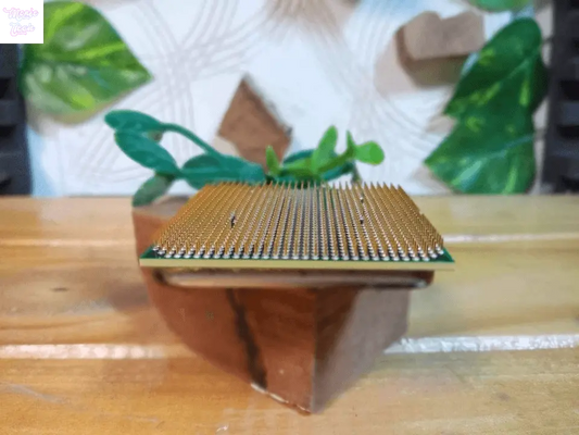 Procesador Athlon II 215 AM2 - MonfeTech