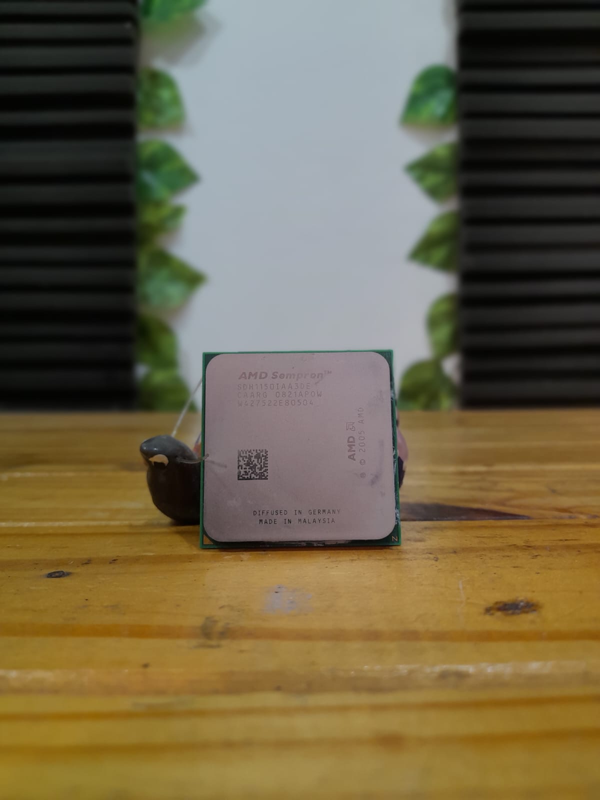 Procesador Sempron LE 1150