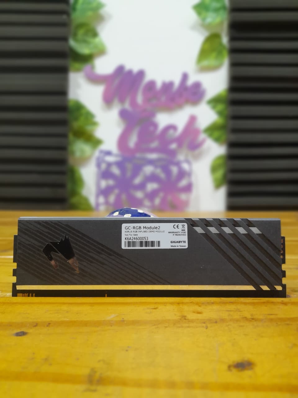 Rams Decorativas Aorus RGB