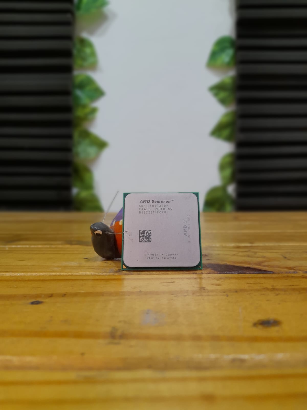 Procesador Sempron LE 1250