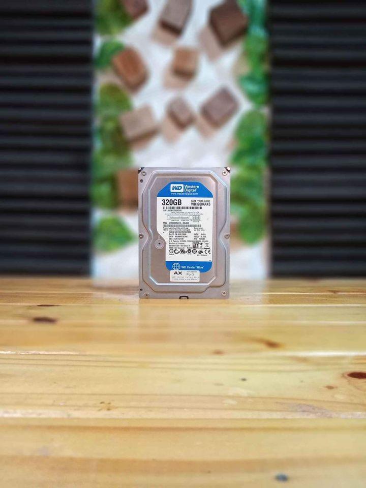Disco Hdd 320Gb WD blue - MonfeTech