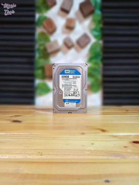 Disco Hdd 320Gb WD blue - MonfeTech